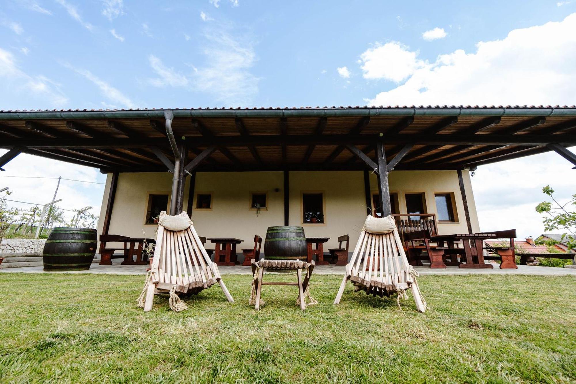 Zelena Oaza - B&B Miklavz pri Ormozu Экстерьер фото